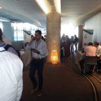 No Dig Bquilla 2018 001